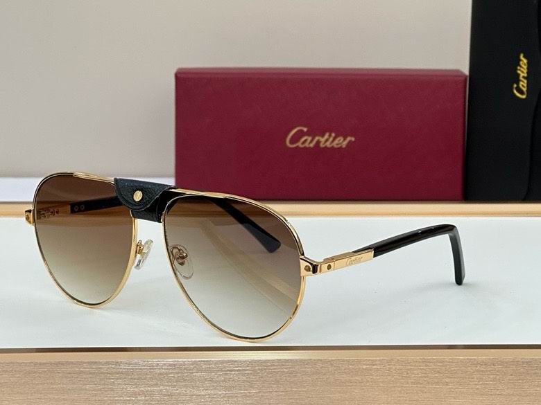 Cartier Glasses (119)